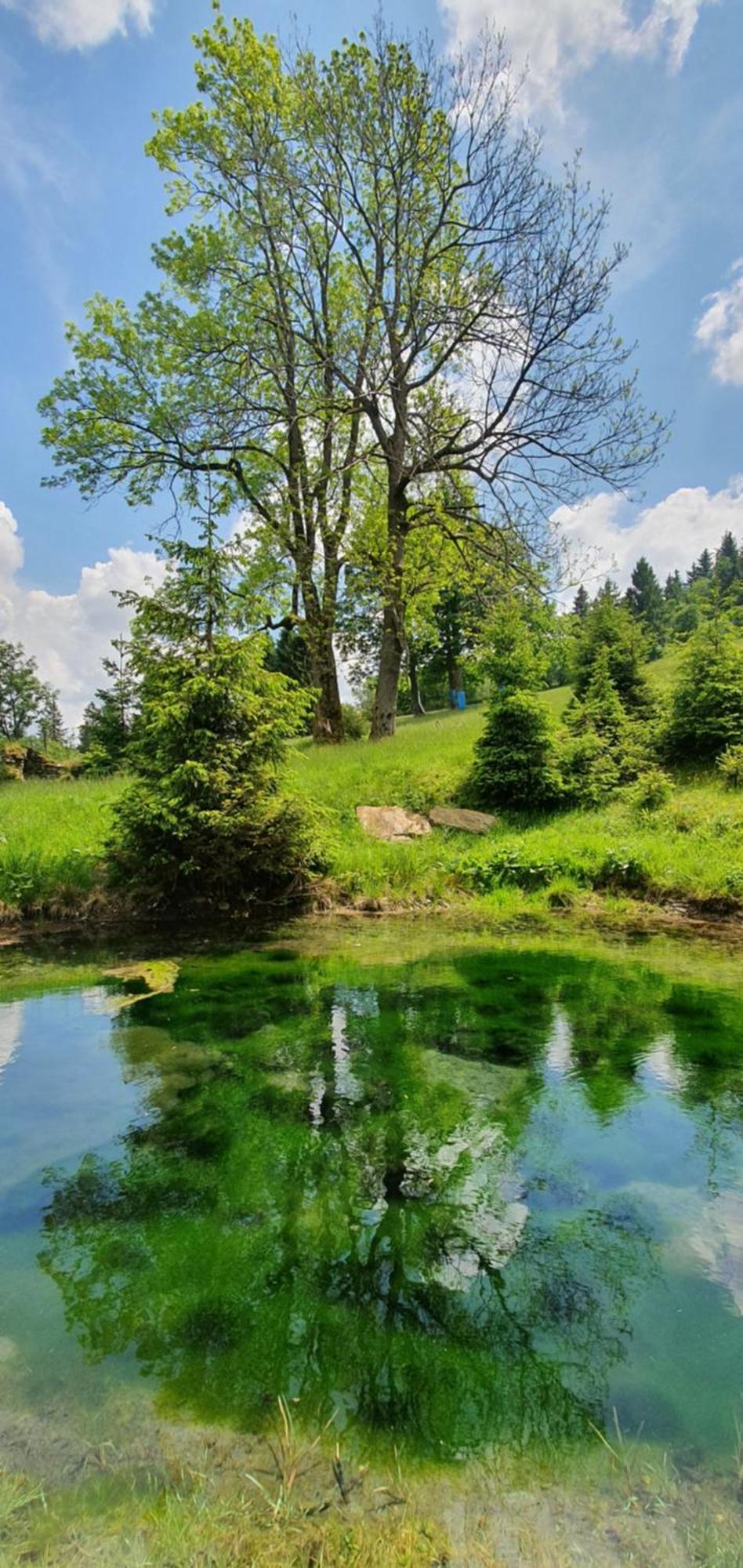 Chata Zieleniecka Duszniki Zdrój Exterior foto